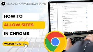 How to Allow Sites in Chrome | How to Allow Access to Certain Websites?