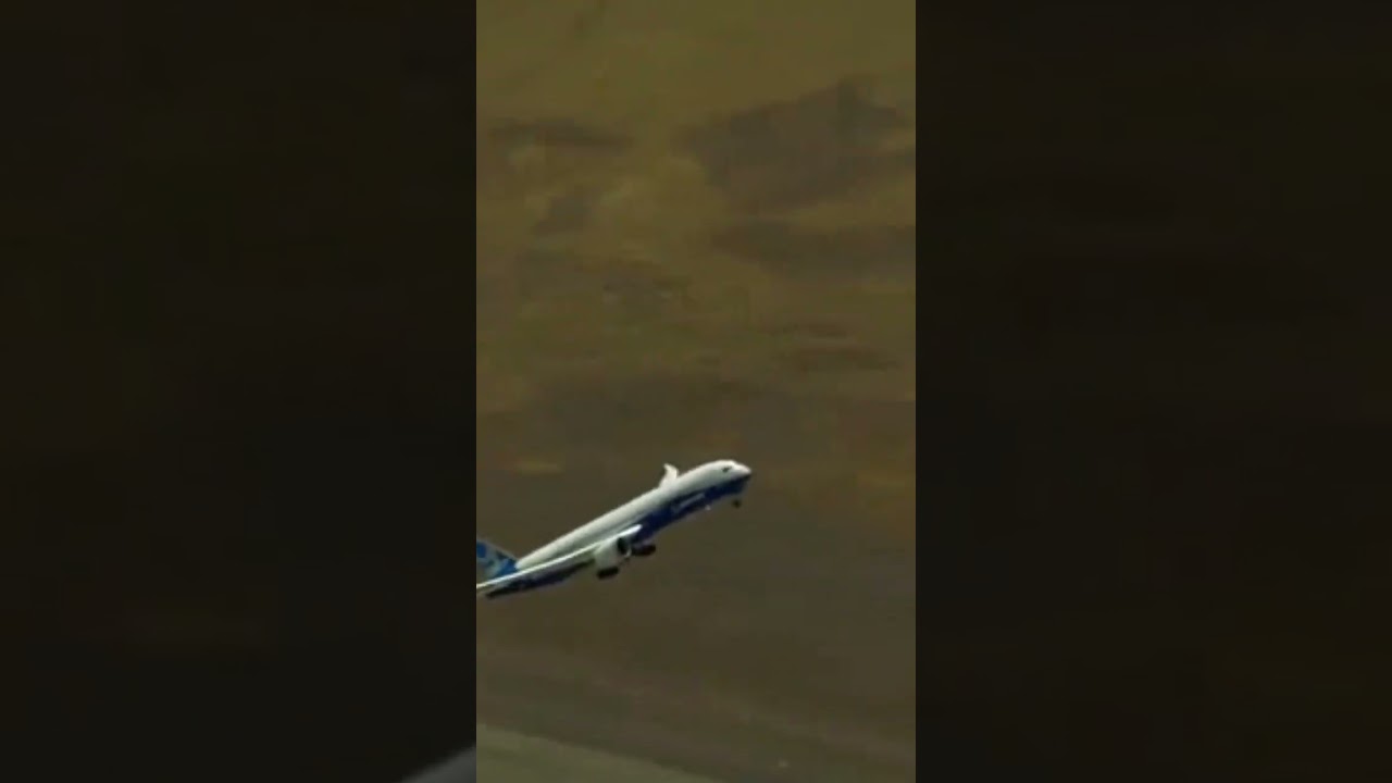 this airplane's takeoff went straight up 😱 