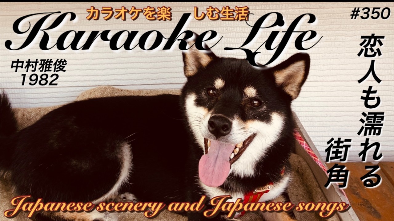 恋人も濡れる街角　永平寺・福井県　　（Eiheiji-temple・Fukui prefecture）