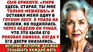 картинка: Сын бросил меня одну в лесу, сказав «Умри здесь!» Но это было его главной ошибкой...