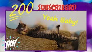 CAT is celebrating reaching 200 SUBSCRIBERS!!!  YAY!!!