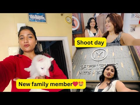 हमारे घर का new member ||@manisha_verma || आज का दिन busy #shootday