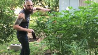 Why I trim up inside