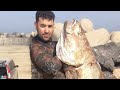 الغوص الحر صيد الكوربين في المغرب maigre fish