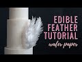 How to make Wafer Paper Feathers | Anna Astashkina