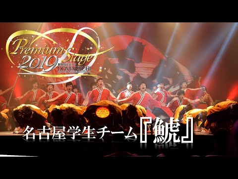 公式】劇場版どまつり 2019Premium Stage「名古屋学生チーム『鯱