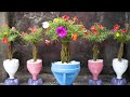 Beautiful and Cute Moss Rose Pots, Great Recycled Ideas for Your Garden