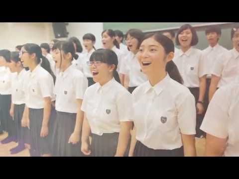 Y mobile 沖縄 2016夏「全速力」合唱Ver.
