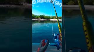 Catching a Warsaw grouper #audio #vr #meta #realvrfishing #fishing #shorts #foryou