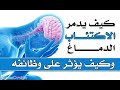اضرار الاكتئاب على الدماغ وكيف يدمر الاكتئاب الدماغ وكيف يؤثر على وظائفه اضرار الاكتئاب على الدماغ وكيف يدمر الاكتئاب الدماغ وكيف يؤثر على وظائفه