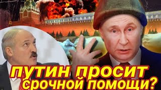 лукашенко обещал послать свои войска в Россию?💥Таро прогноз