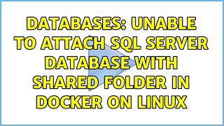 Databases: Unable to attach SQL Server database with shared folder in docker on Linux Net Worth