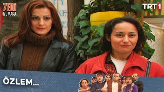 Haydar Ve Armağan Buluşacak - Yedi Numara Özel Sahneler