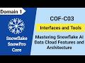 SnowPro Core Certification Tutorial (COF-C03)(Unofficial): Snowflake Architecture Interfaces &amp; tools