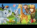 Happy animal moment: Elephant, Monkey, Giraffe, Zebra, Bee, Bird - Animals sound