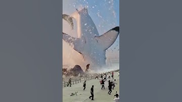 ويا قوم الي ادعوكم/القارئ محمد ال عبدالرزاق