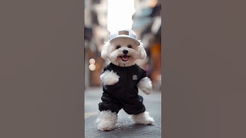 Dancing with dog?! AI Revolution in life?! #ai #animals #aifuture #aitech #avengers