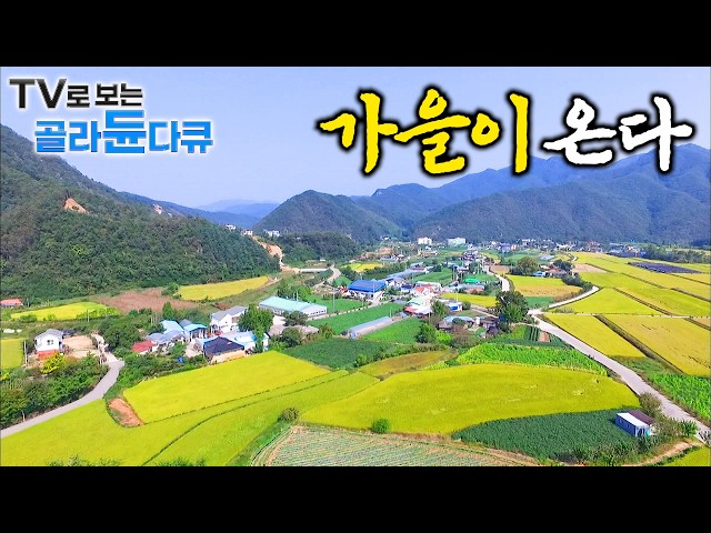 '드디어 왔다! 가을이 오면 풍성해지는 밥상 가을 오지 마을 사람들 한시간 몰아보기｜한국기행｜tv로보는골라듄…