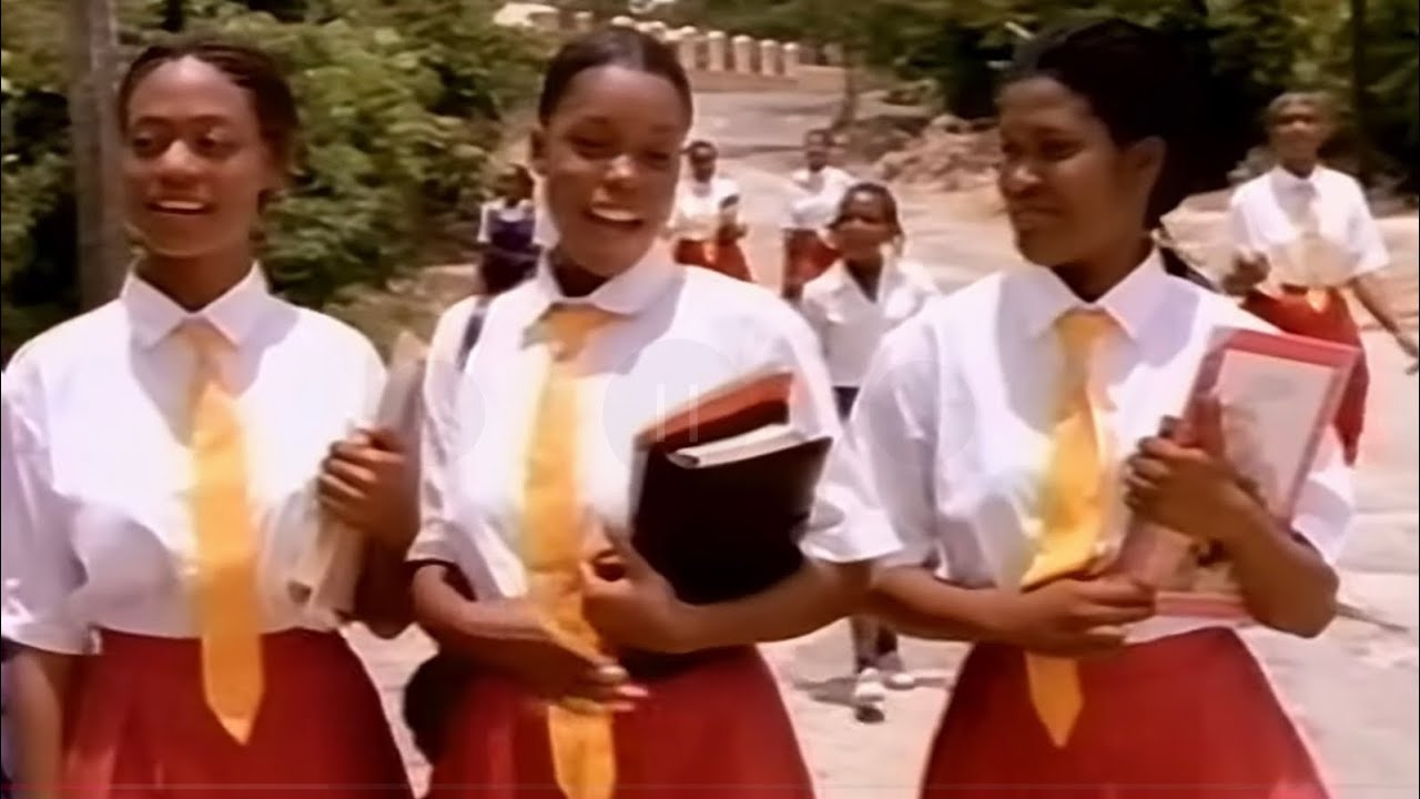 Chevelle Franklyn - Nice & Naughty (1994) // 4k