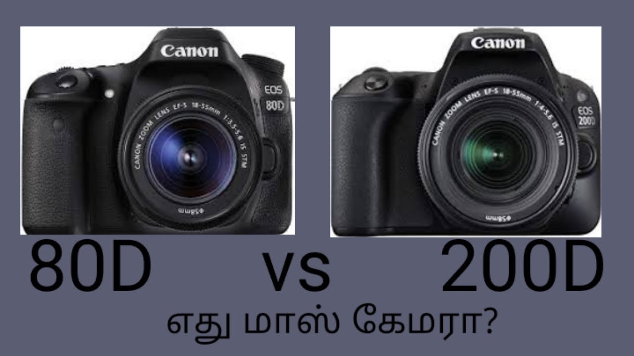 200d vs 80d Canon camera comparison...