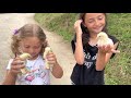 Melisa Civcivleri Kucağına Aldı.Civcivler Köpeğin Yanına kaçtı #animals#baby