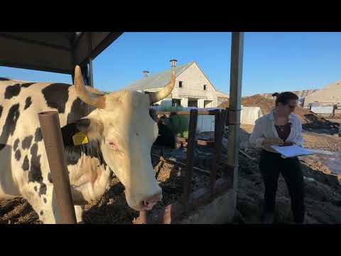 Size Matters: How Big Is Our Barn? Measuring Welfare - Farmers from Podlasie