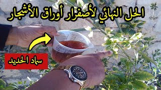 كيفية صنع سماد الحديد السائل لأشجار  How to make liquid iron fertilizer for trees