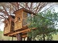 Cabaña en un árbol. Casárbol en televisón Española   TVE1