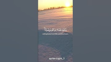 تلاوة مؤثرة لياسر الدوسري: محمد رسول الله والذين معه... ما الآية الأقرب لقلبك؟ 💚📖 #قرآن