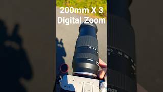 Tamron 28-200mm 3X Digital Zoom Test at 200mm (Sony a7C2 33mp, a7iv* FX2*) #cameratest #photography