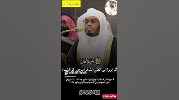 إبداع بأداء خيالي من شيخ #ياسرالدوسري من سورة النحل _من صلاة الفجر _5 شعبان 1446
