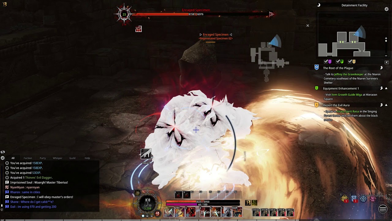 Bless Online NA | Berserker | Level 30 - level 21 dungeon