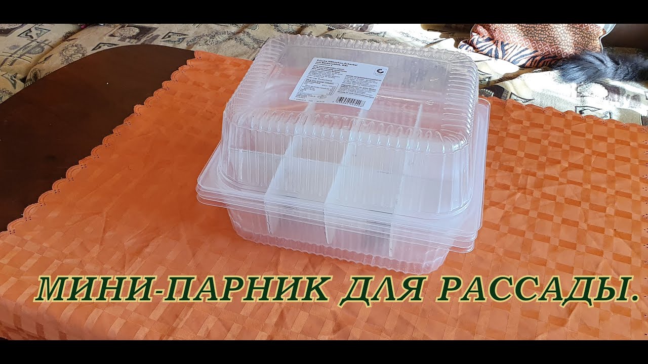 МИНИПАРНИК ДЛЯ РАССАДЫ (Anzuchtkasten selber bauen) , стаканчики