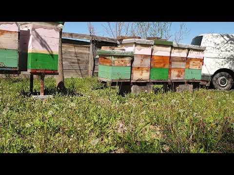 PROSIRENJE PROSTORA ZA MATICU DA NESE KOLIKO HOĆE.13.04.202.