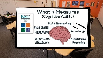 Stanford Binet Intelligence Scale Test