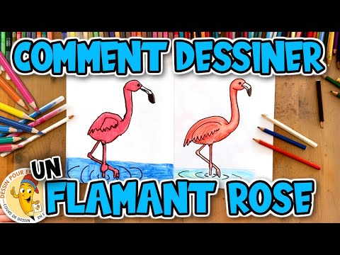 Vidéo: Comment Dessiner Un Flamant Rose