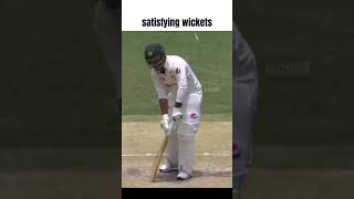 Satisfying wickets 🔥
