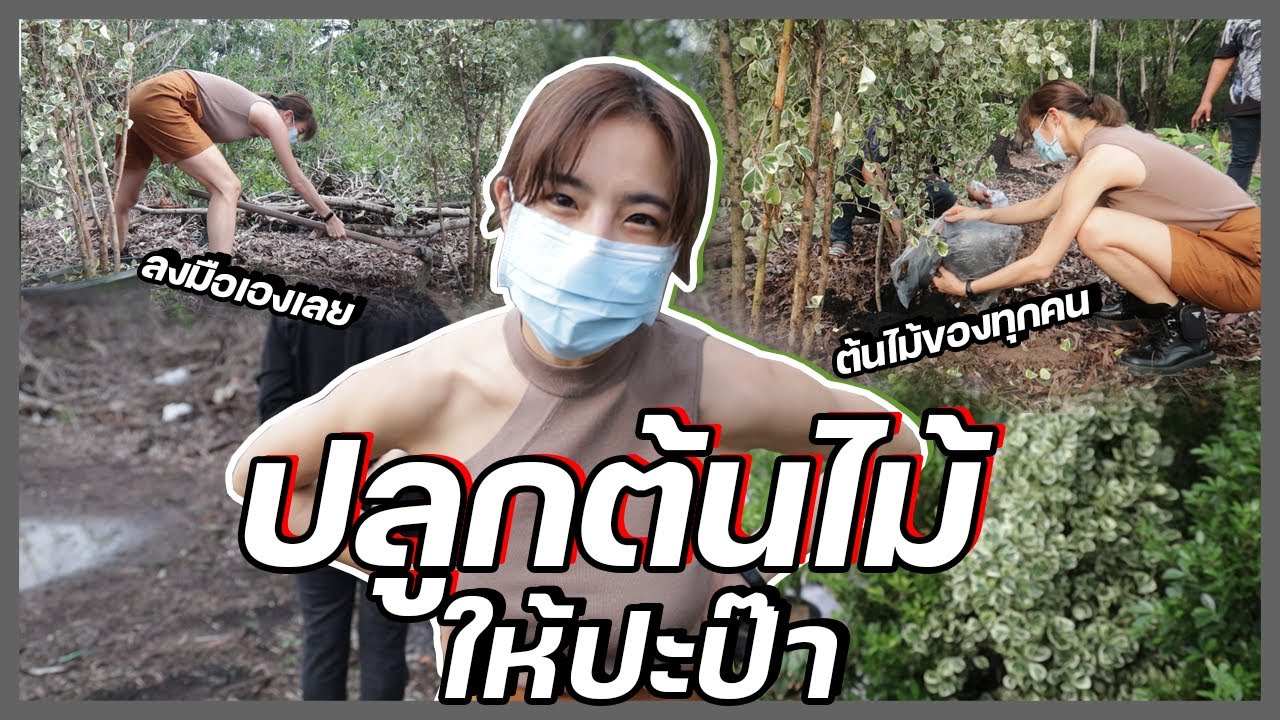 เรื่องของคริส | ปลูกต้นไม้ให้ปะป๊า