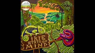 Tripping - Fortunate Youth