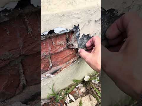 Assessing a defective external wall with internal damp issues.