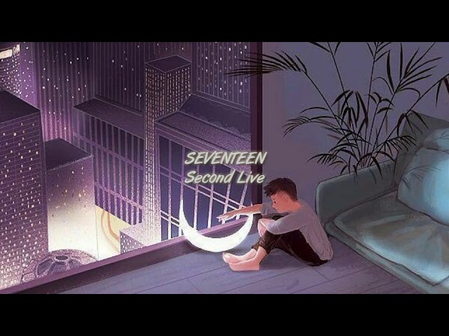 Seventeen - Second Life [audio] class=