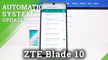 How to Auto Update ZTE Blade 10 – Turn On Auto System Update