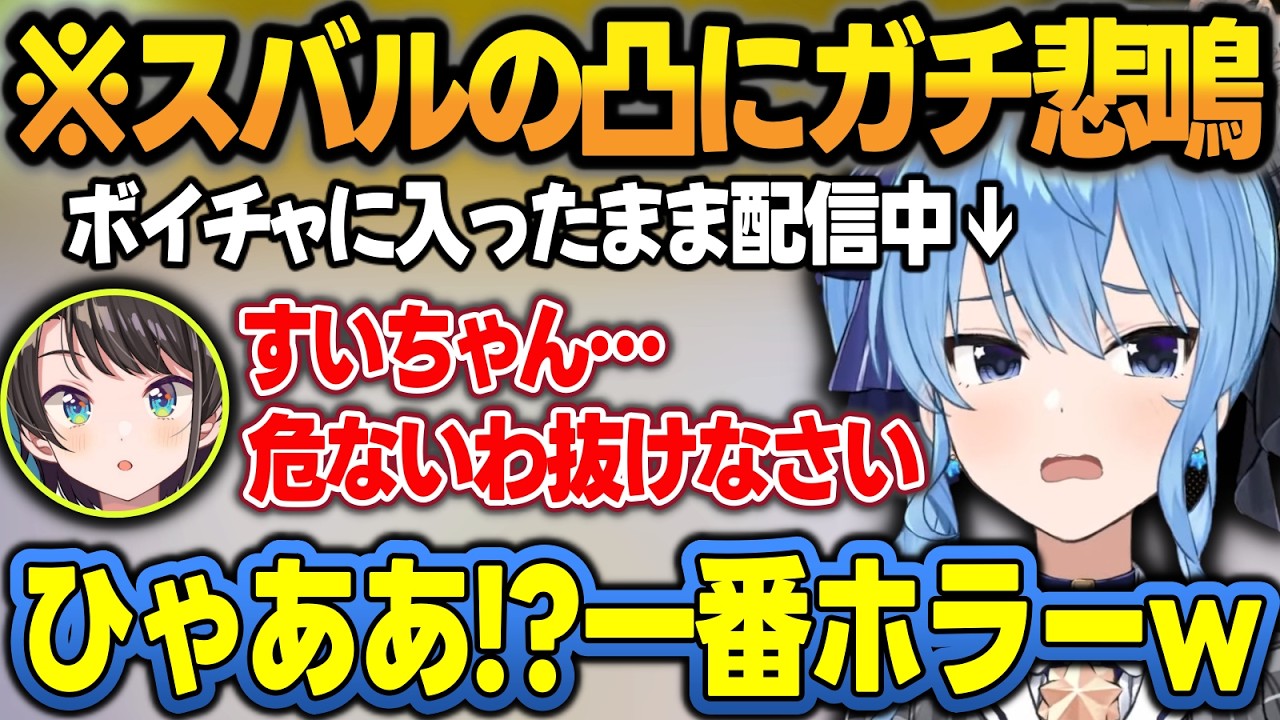 バイオハザード中にスバルが凸しに来て今日一のホラーを体験するすいちゃんw【星街すいせい/大空スバル/ホロライブ/切り抜き】