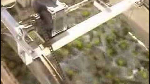 True Traceability | Dumping & Sizer