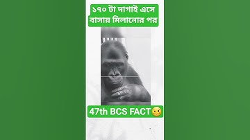 47th bcs Full Solution|৪৭তম বিসিএস সমাধান|#47thbcssolution #47thbcs