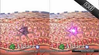 ArD Demo Reel