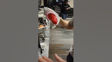 my first ever shark puppet video.. #shark #puppet #sharkpuppet #cheese #macandcheese