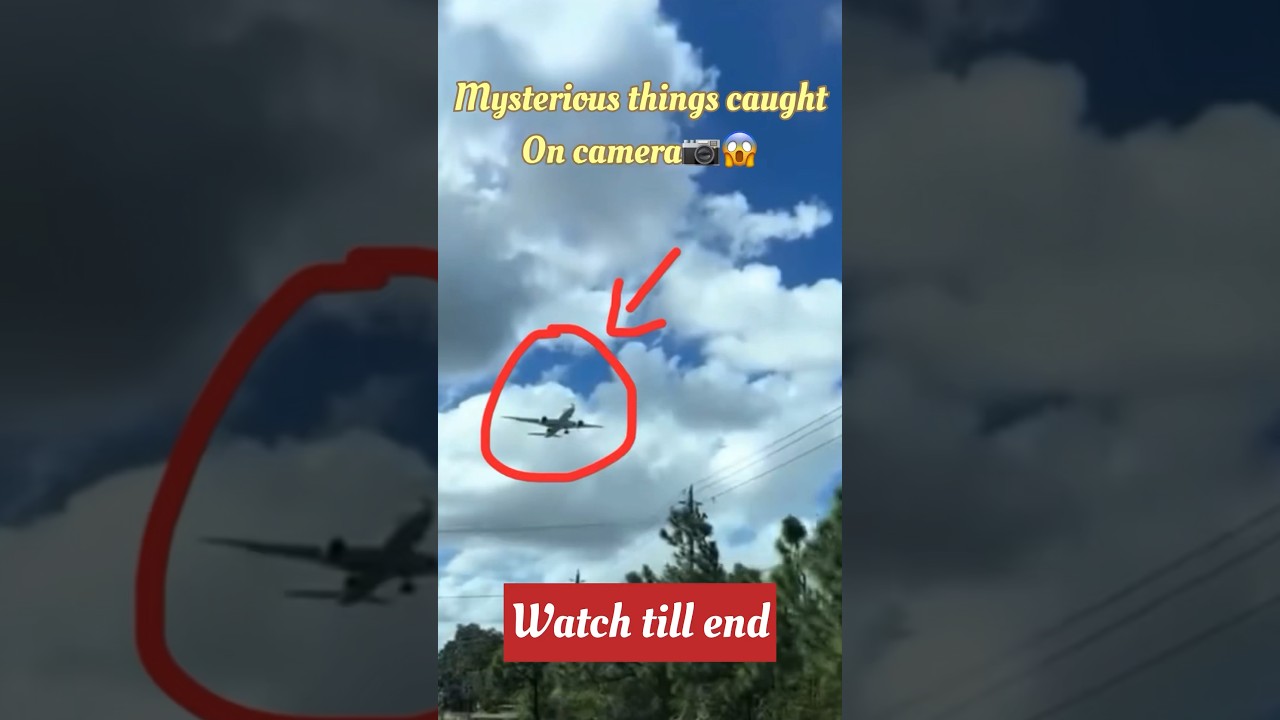 Sh** 😅 * * #handy #prank #lost #gashupe #fly #flying #fliegen  #ibelieveicanfly #erschrecken #überraschung #instagood #videogram  #videooftheday #scared, By flocos_life