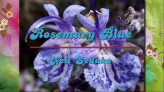 Rosemary Blue - Neil Sedaka chords