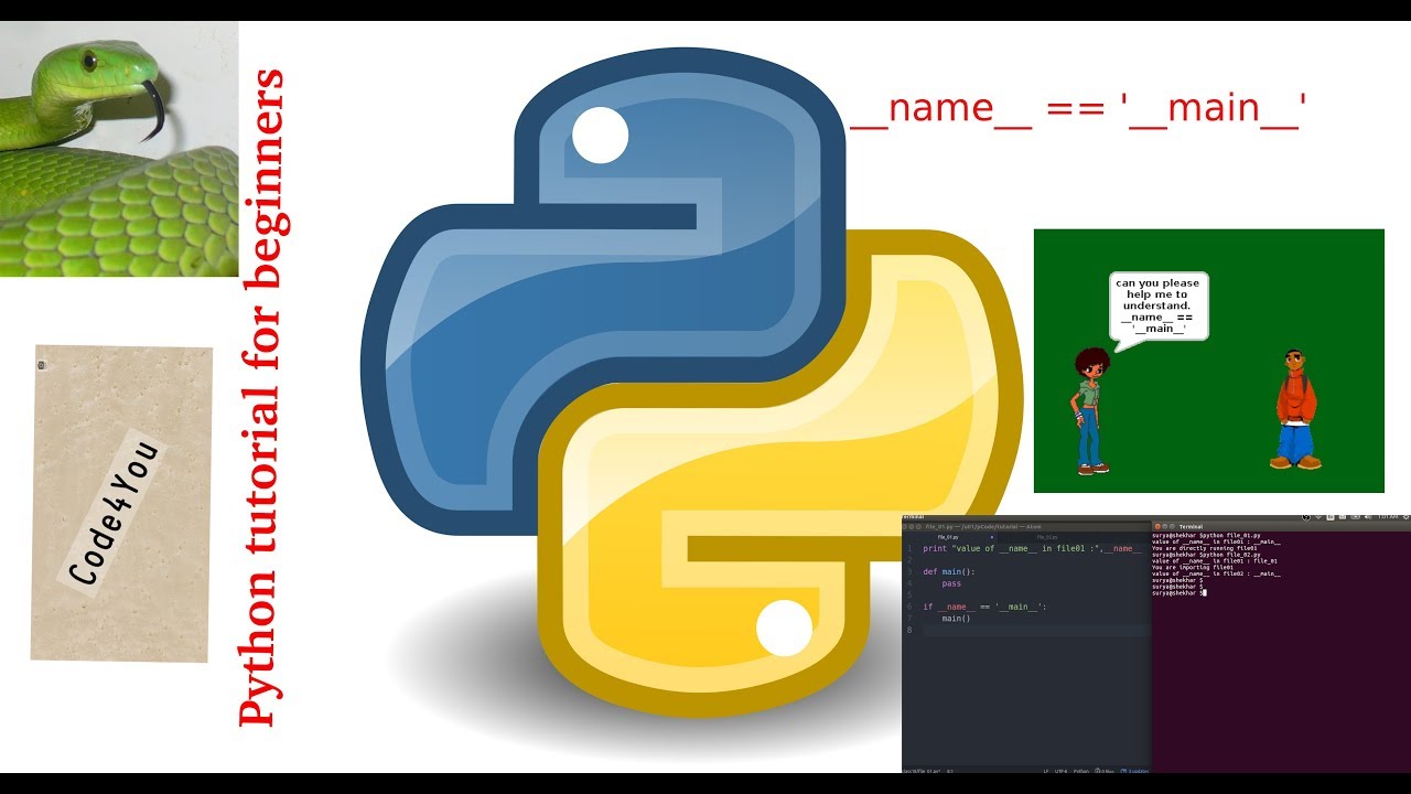 python __name__ == '__main__' ||Python Tutorial #18 || Python Tutorial ...